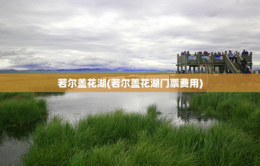 若尔盖花湖(若尔盖花湖门票费用)