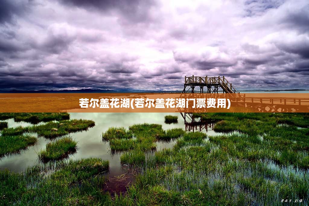 若尔盖花湖(若尔盖花湖门票费用)