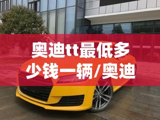 奥迪tt最低多少钱一辆/奥迪tt一年保险多少钱