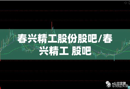 春兴精工股份股吧/春兴精工 股吧