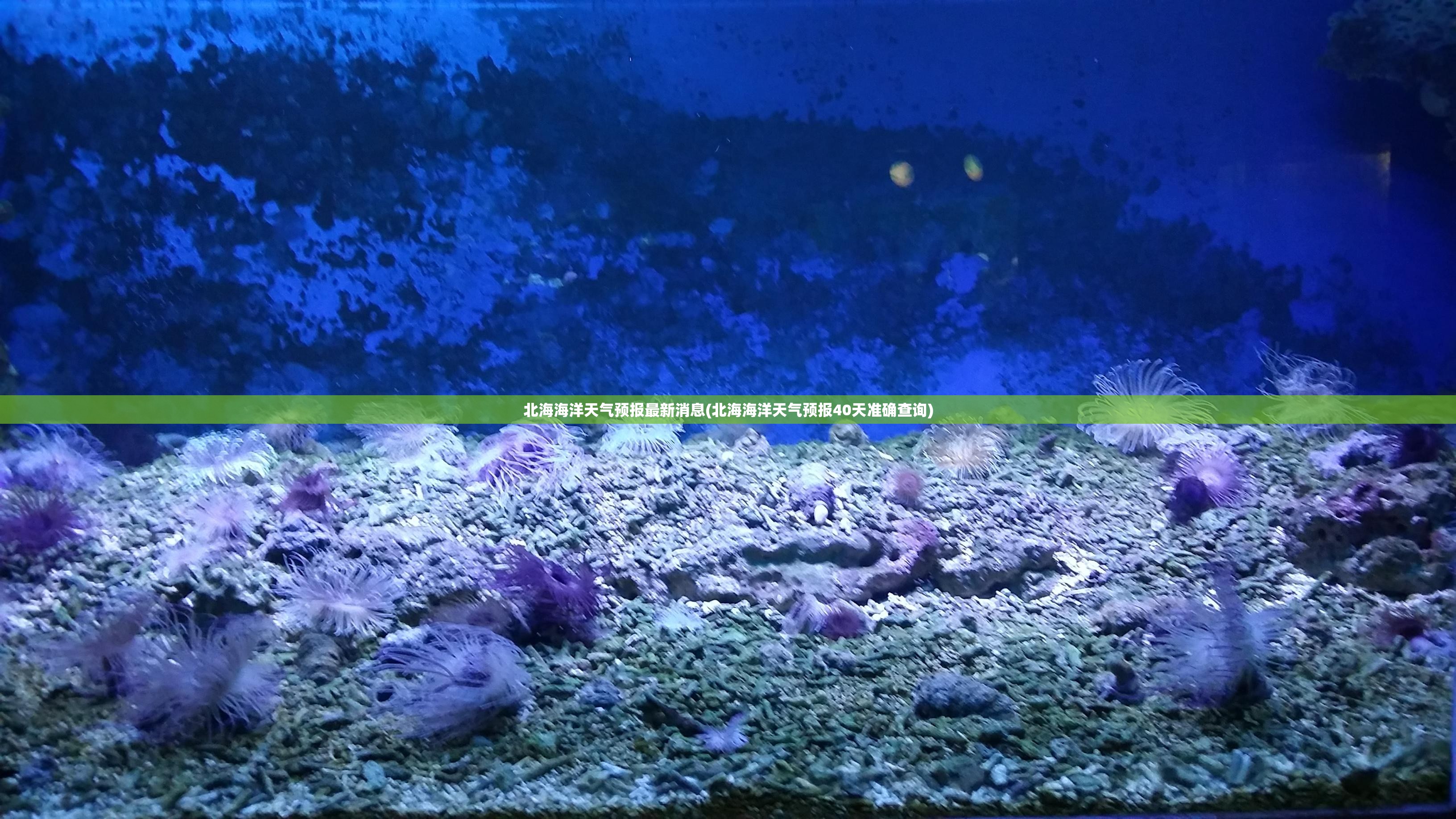 北海海洋天气预报最新消息(北海海洋天气预报40天准确查询) 北海海洋天气预报最新消息(北海海洋天气预报40天准确查询)