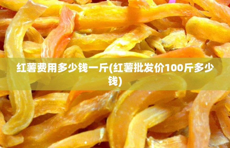 红薯费用多少钱一斤(红薯批发价100斤多少钱)