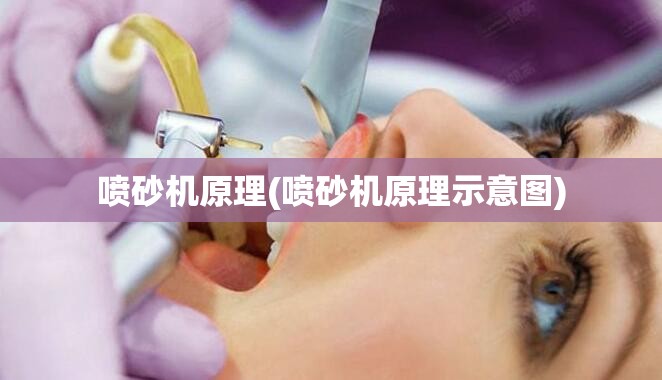 喷砂机原理(喷砂机原理示意图)
