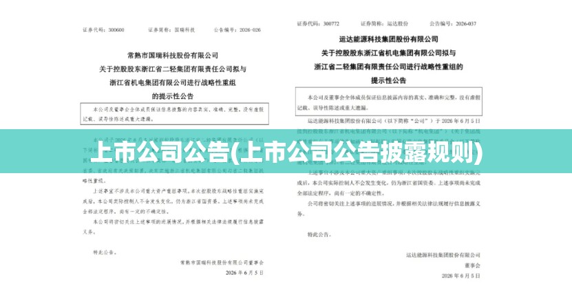 上市公司公告(上市公司公告披露规则) 上市公司公告(上市公司公告披露规则)
