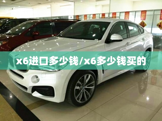 x6进口多少钱/x6多少钱买的