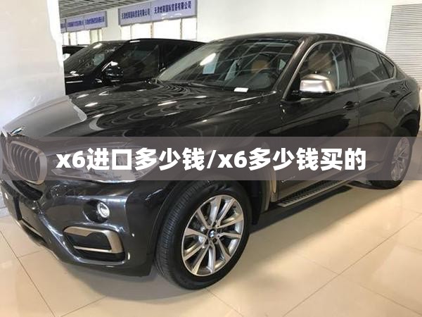 x6进口多少钱/x6多少钱买的