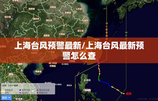 上海台风预警最新/上海台风最新预警怎么查
