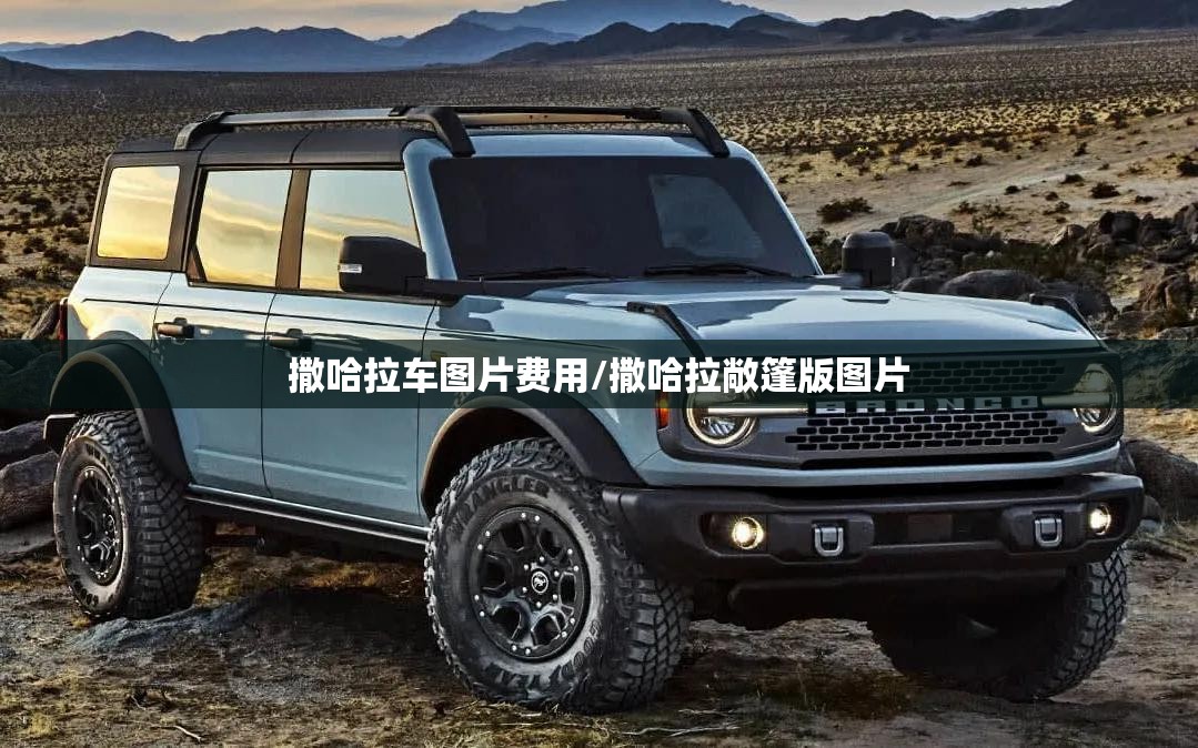 撒哈拉车图片费用/撒哈拉敞篷版图片