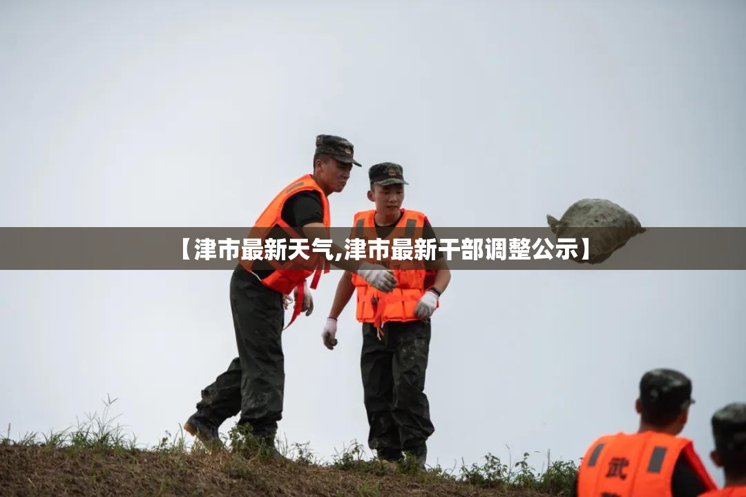 【津市最新天气,津市最新干部调整公示】