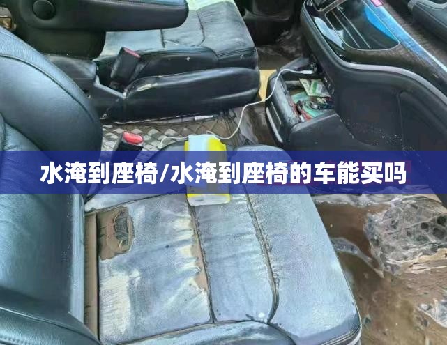 水淹到座椅/水淹到座椅的车能买吗