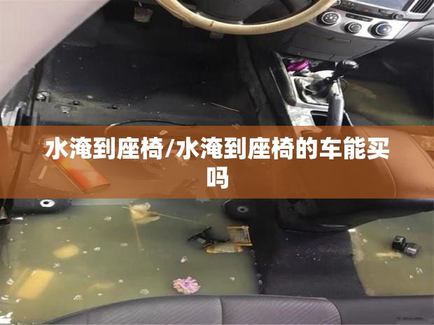 水淹到座椅/水淹到座椅的车能买吗