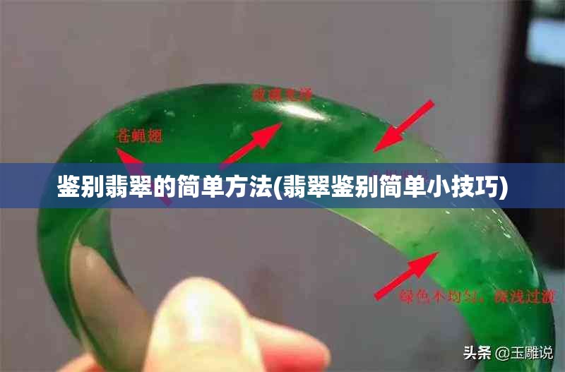 鉴别翡翠的简单方法(翡翠鉴别简单小技巧) 鉴别翡翠的简单方法(翡翠鉴别简单小技巧)