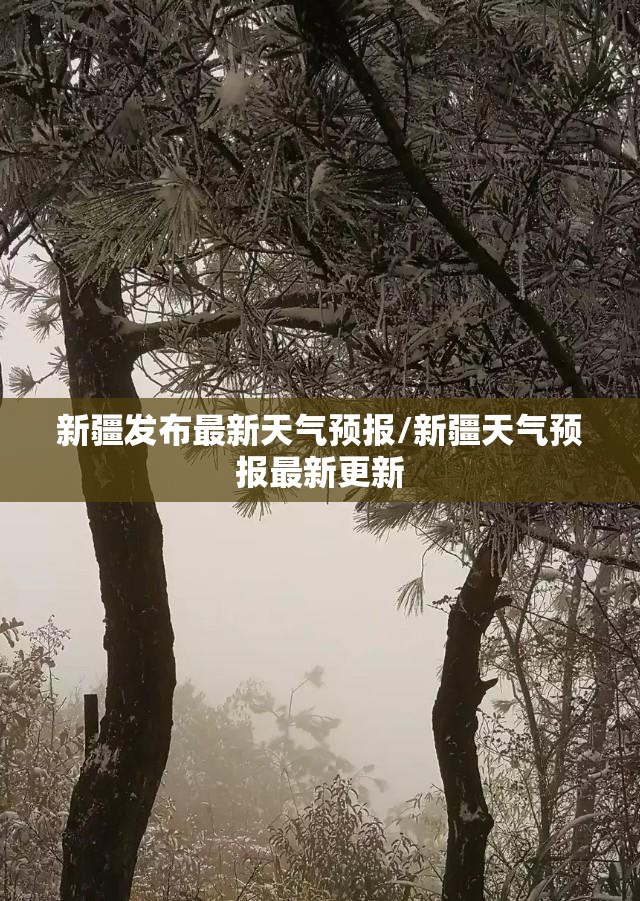 新疆发布最新天气预报/新疆天气预报最新更新