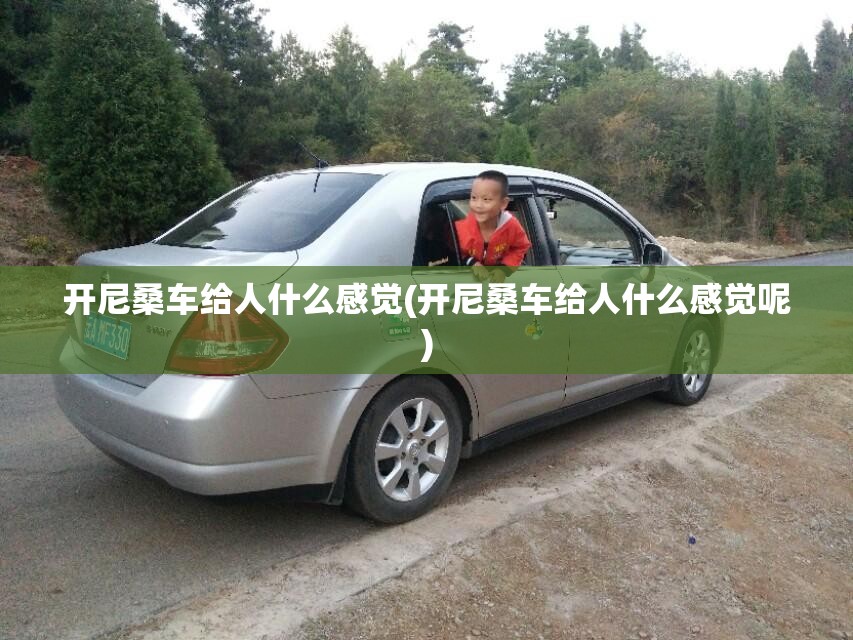 开尼桑车给人什么感觉(开尼桑车给人什么感觉呢)