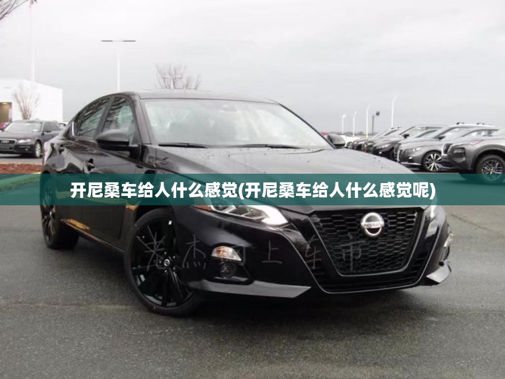 开尼桑车给人什么感觉(开尼桑车给人什么感觉呢)