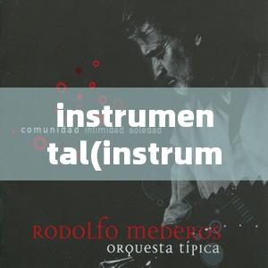 instrumental(instrumental music)