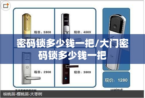 密码锁多少钱一把/大门密码锁多少钱一把