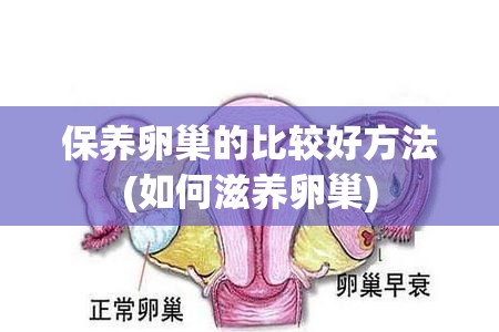 保养卵巢的比较好方法(如何滋养卵巢)