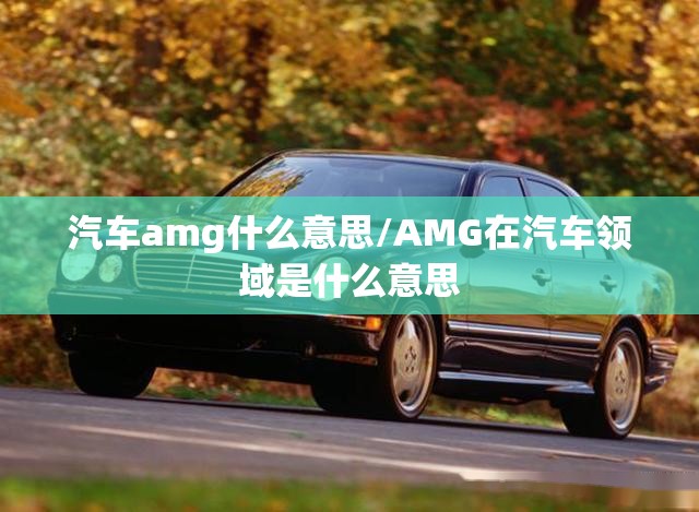汽车amg什么意思/AMG在汽车领域是什么意思 汽车amg什么意思/AMG在汽车领域是什么意思