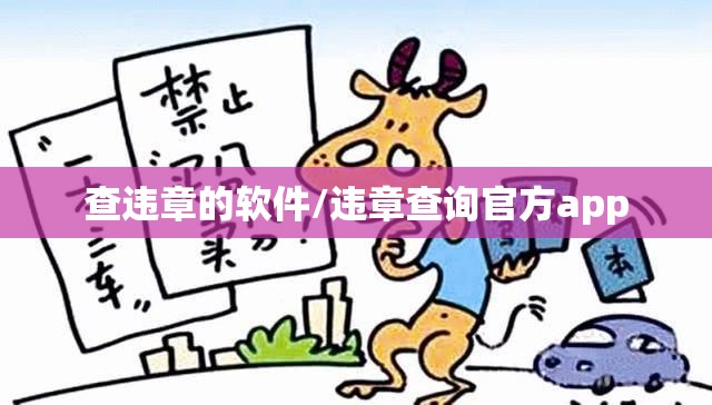 查违章的软件/违章查询官方app