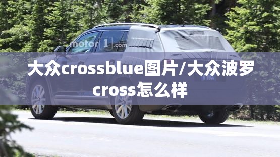 大众crossblue图片/大众波罗cross怎么样
