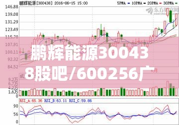 鹏辉能源300438股吧/600256广汇能源股吧