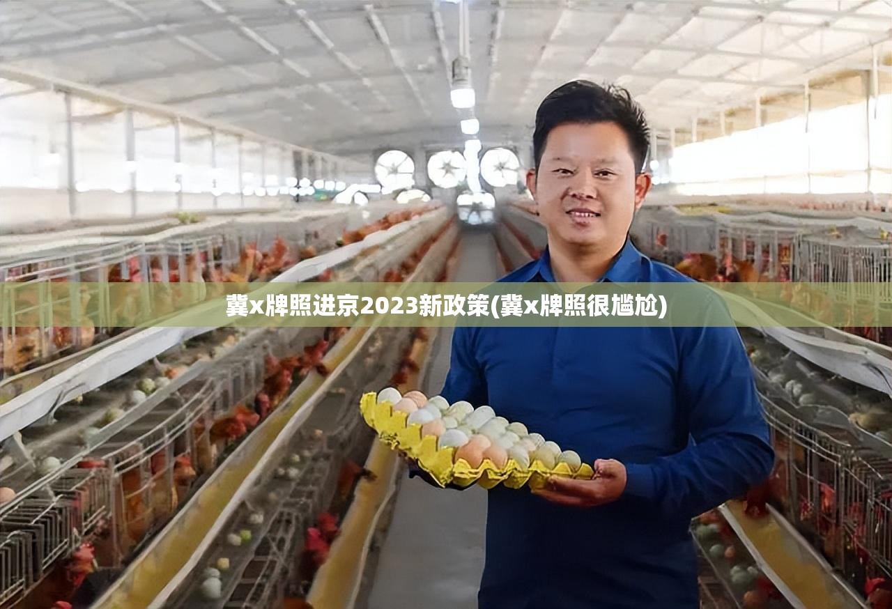 冀x牌照进京2023新政策(冀x牌照很尴尬)