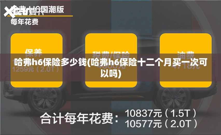哈弗h6保险多少钱(哈弗h6保险十二个月买一次可以吗)