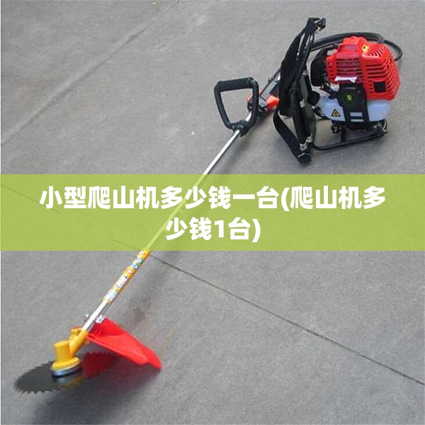 小型爬山机多少钱一台(爬山机多少钱1台)