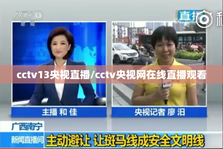 cctv13央视直播/cctv央视网在线直播观看