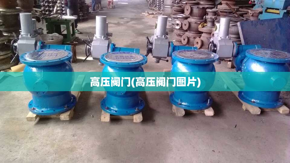 高压阀门(高压阀门图片)