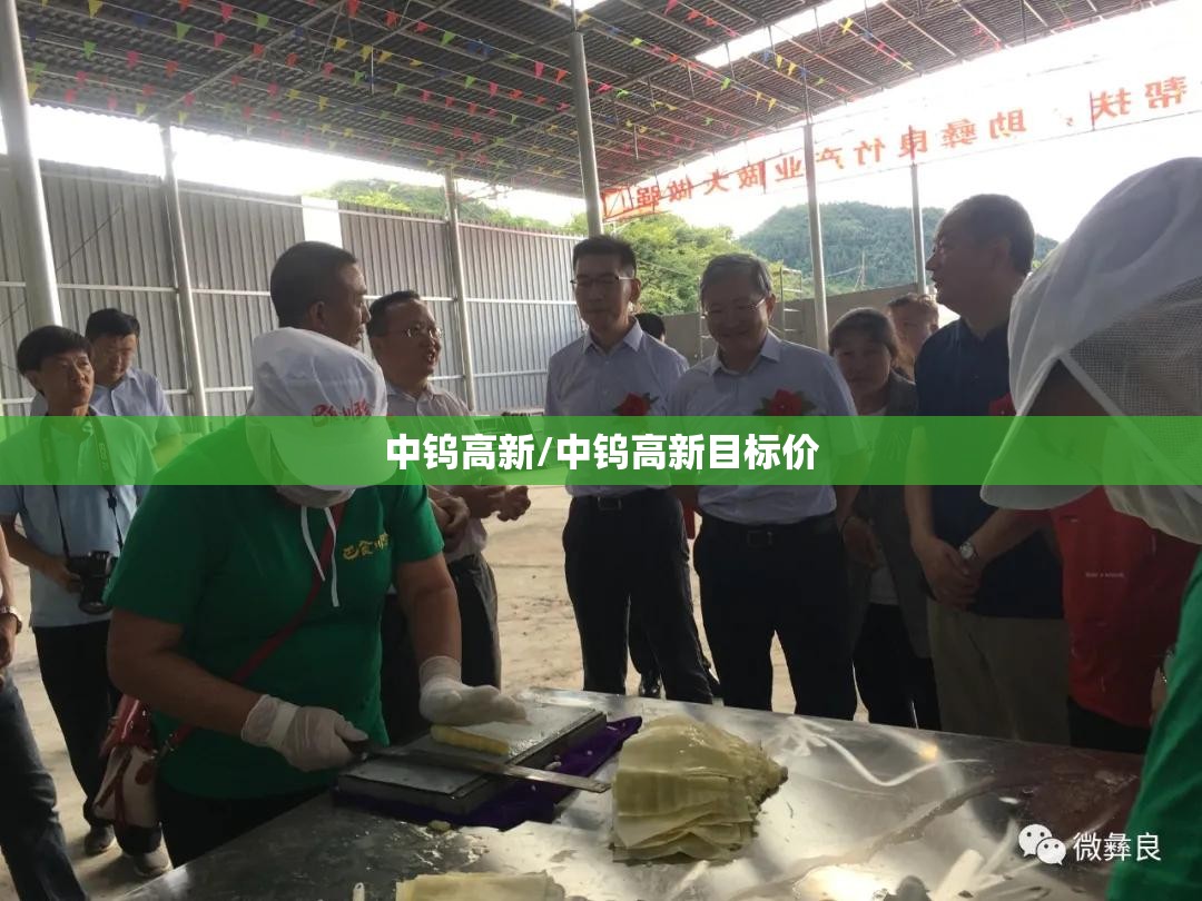 中钨高新/中钨高新目标价