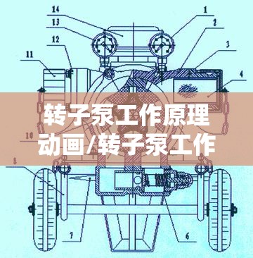 转子泵工作原理动画/转子泵工作原理动画演示