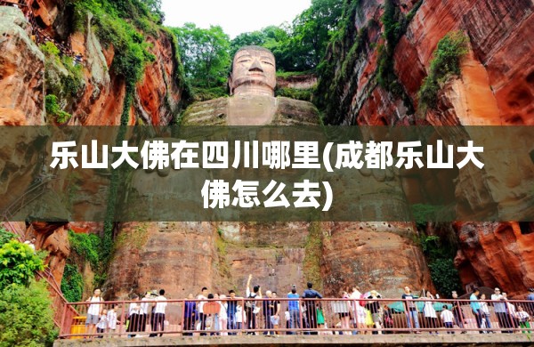 乐山大佛在四川哪里(成都乐山大佛怎么去)