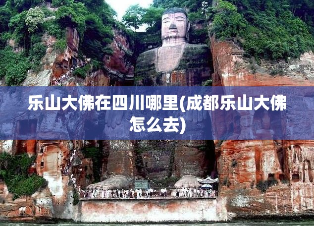 乐山大佛在四川哪里(成都乐山大佛怎么去)