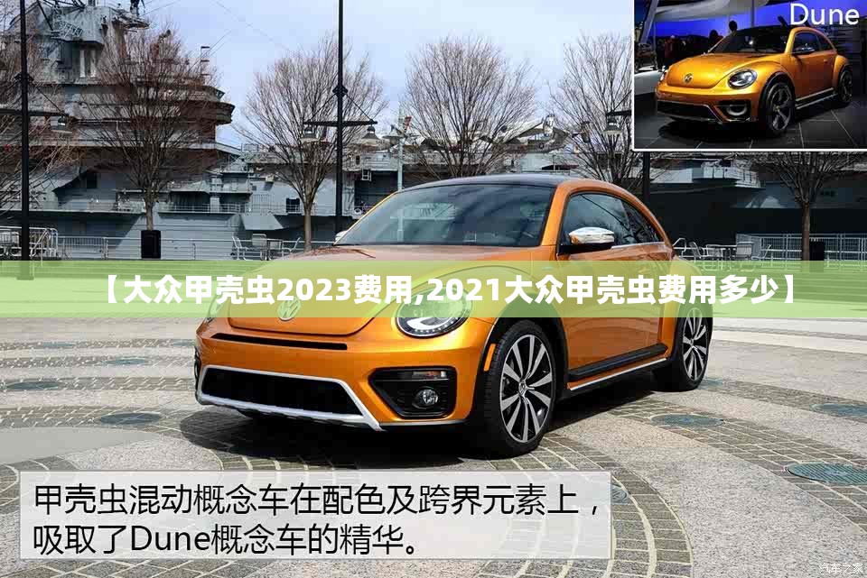 【大众甲壳虫2023费用,2021大众甲壳虫费用多少】