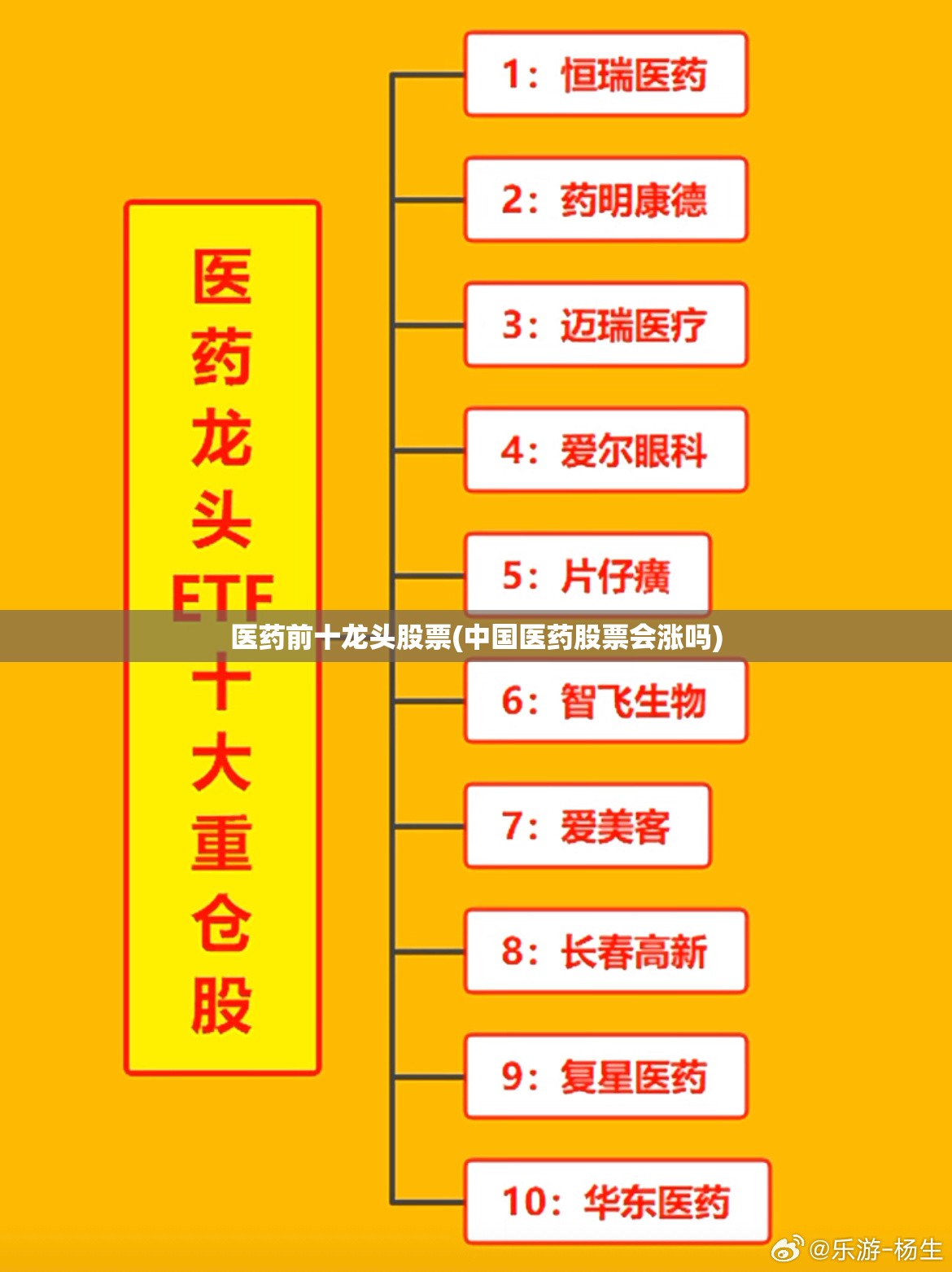 医药前十龙头股票(中国医药股票会涨吗)