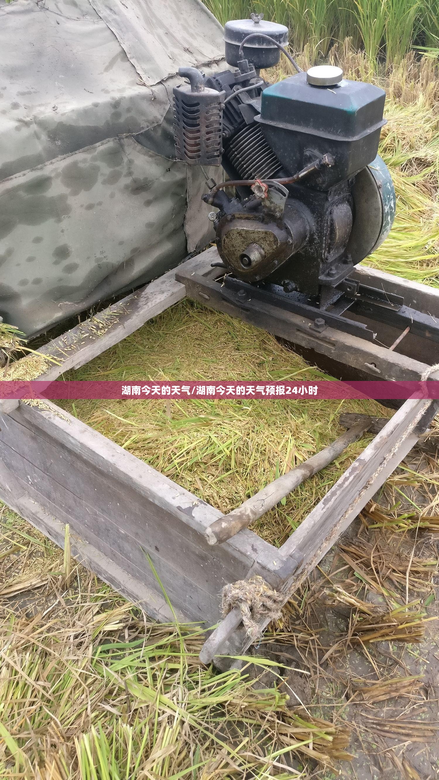 湖南今天的天气/湖南今天的天气预报24小时