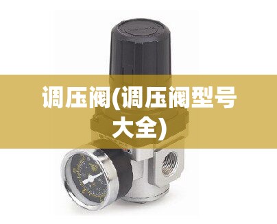 调压阀(调压阀型号大全) 调压阀(调压阀型号大全)