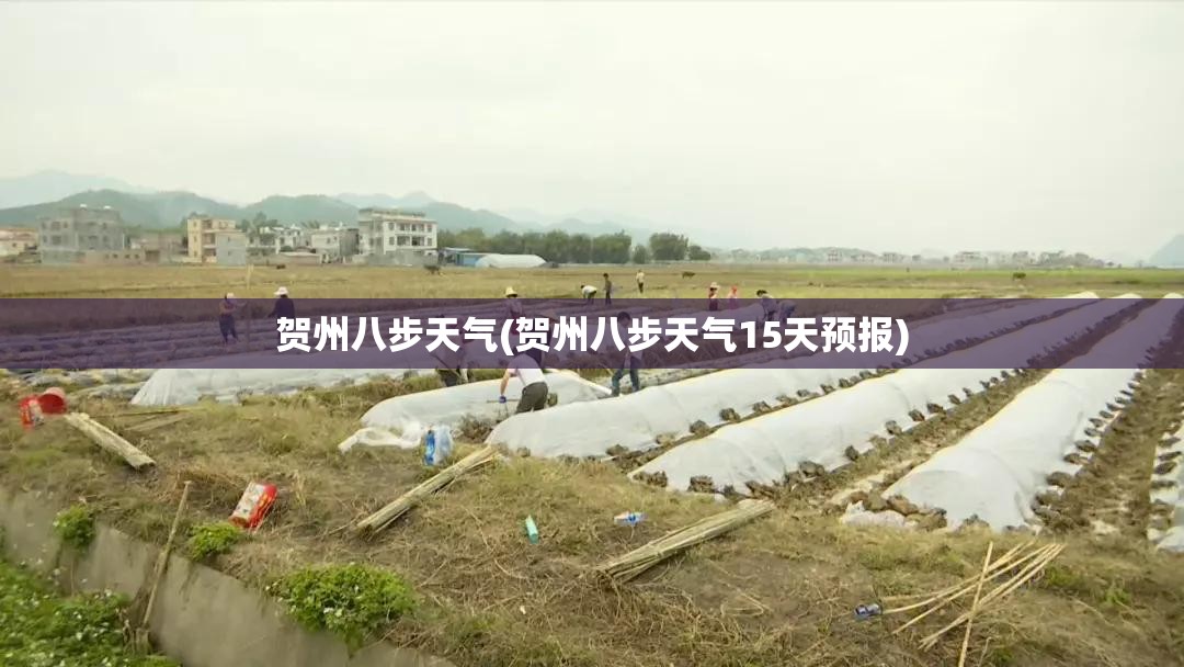 贺州八步天气(贺州八步天气15天预报)