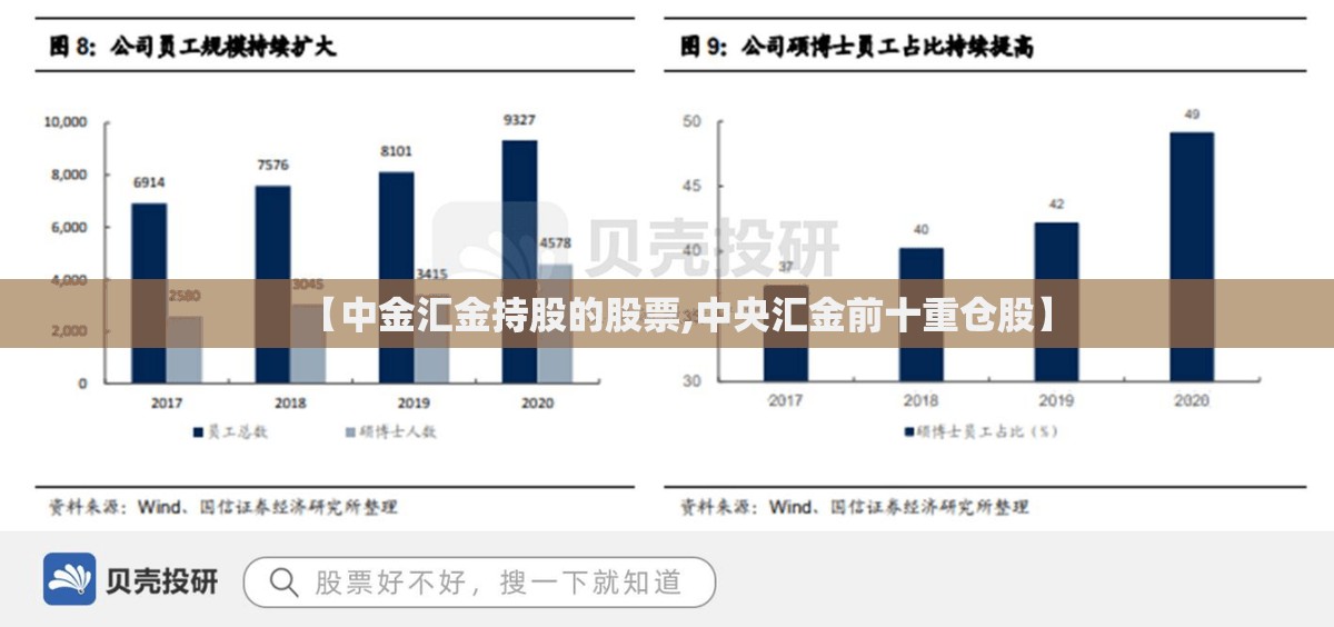 【中金汇金持股的股票,中央汇金前十重仓股】 【中金汇金持股的股票,中央汇金前十重仓股】