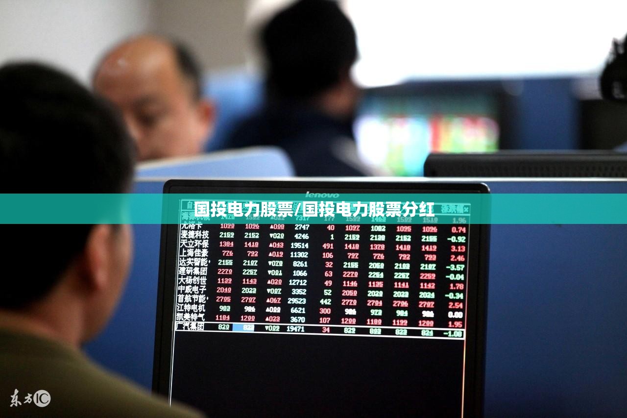 国投电力股票/国投电力股票分红