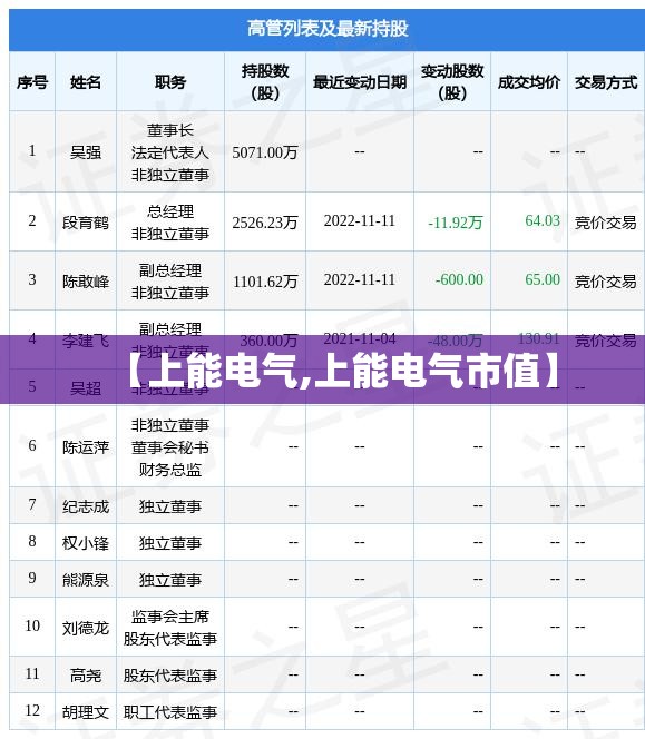 【上能电气,上能电气市值】