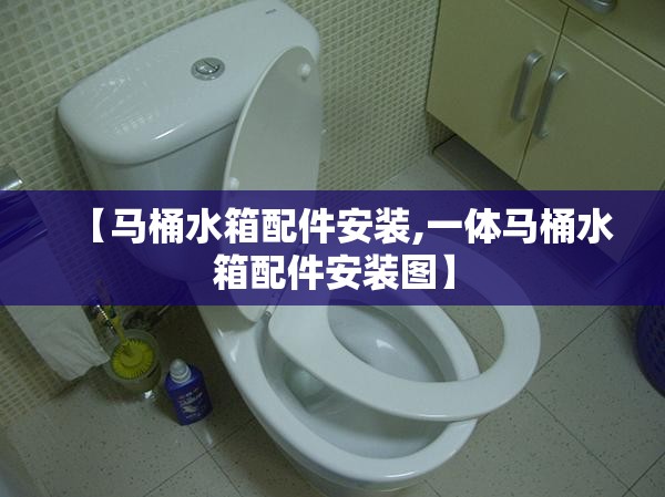 【马桶水箱配件安装,一体马桶水箱配件安装图】 【马桶水箱配件安装,一体马桶水箱配件安装图】