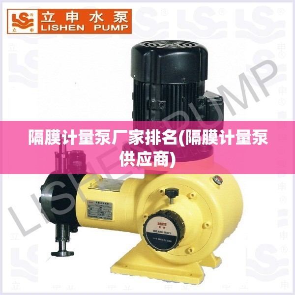 隔膜计量泵厂家排名(隔膜计量泵供应商) 隔膜计量泵厂家排名(隔膜计量泵供应商)