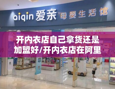 开内衣店自己拿货还是加盟好/开内衣店在阿里巴巴厂家拿货内衣应该怎么定价 开内衣店自己拿货还是加盟好/开内衣店在阿里巴巴厂家拿货内衣应该怎么定价