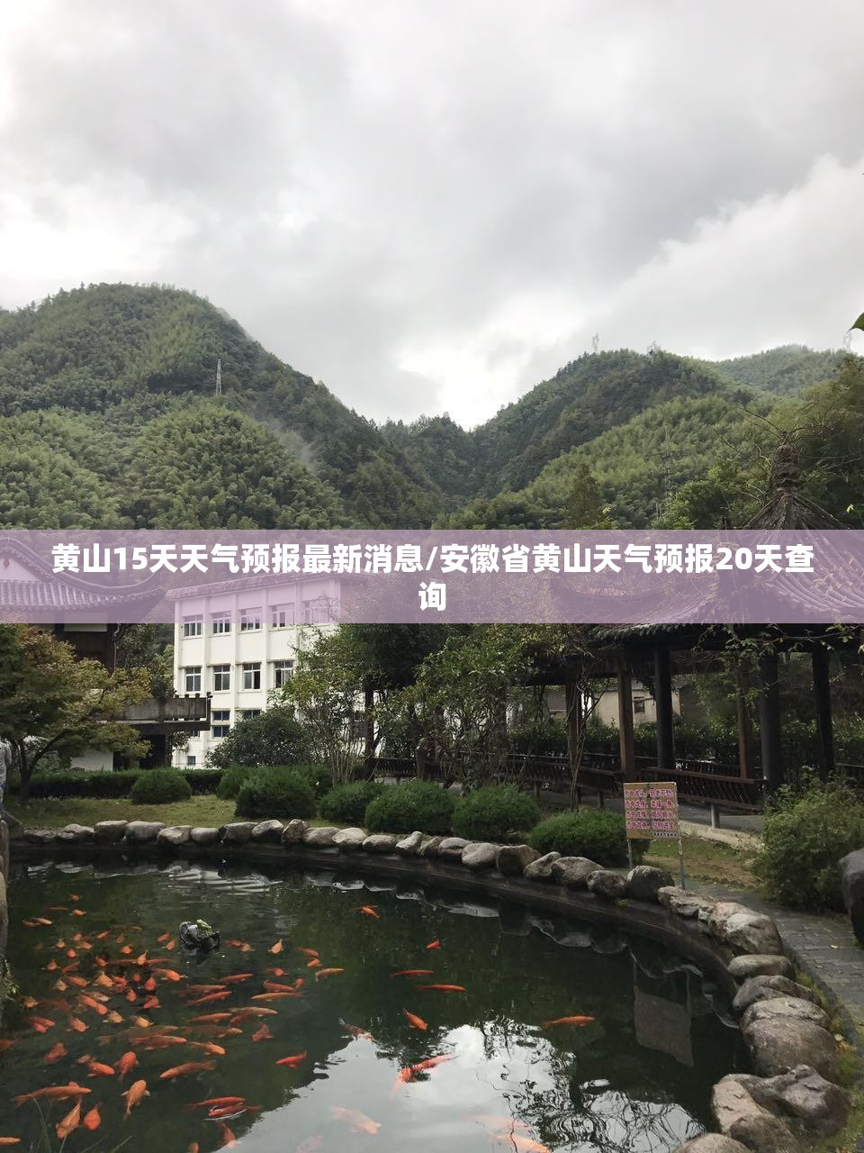 黄山15天天气预报最新消息/安徽省黄山天气预报20天查询