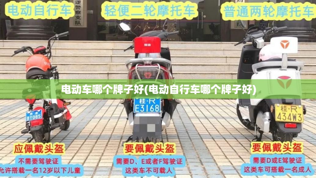 电动车哪个牌子好(电动自行车哪个牌子好)