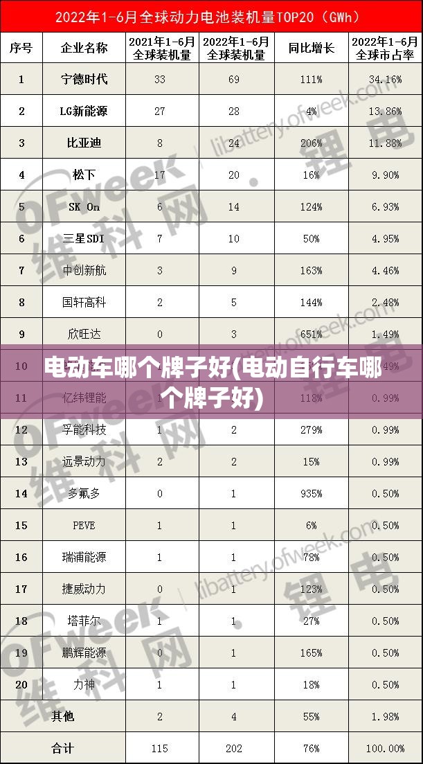 电动车哪个牌子好(电动自行车哪个牌子好)