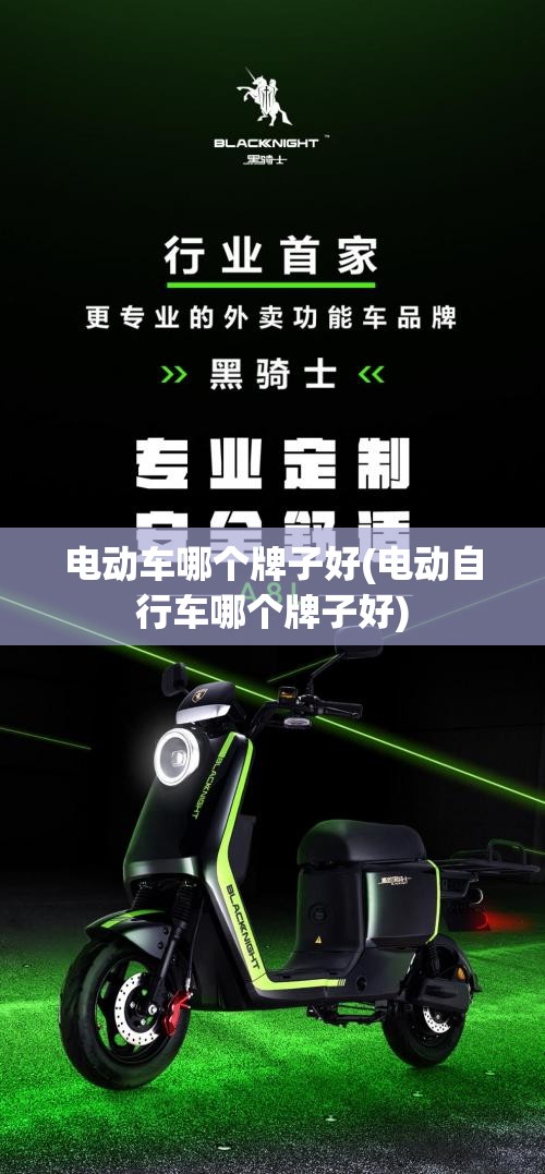 电动车哪个牌子好(电动自行车哪个牌子好)